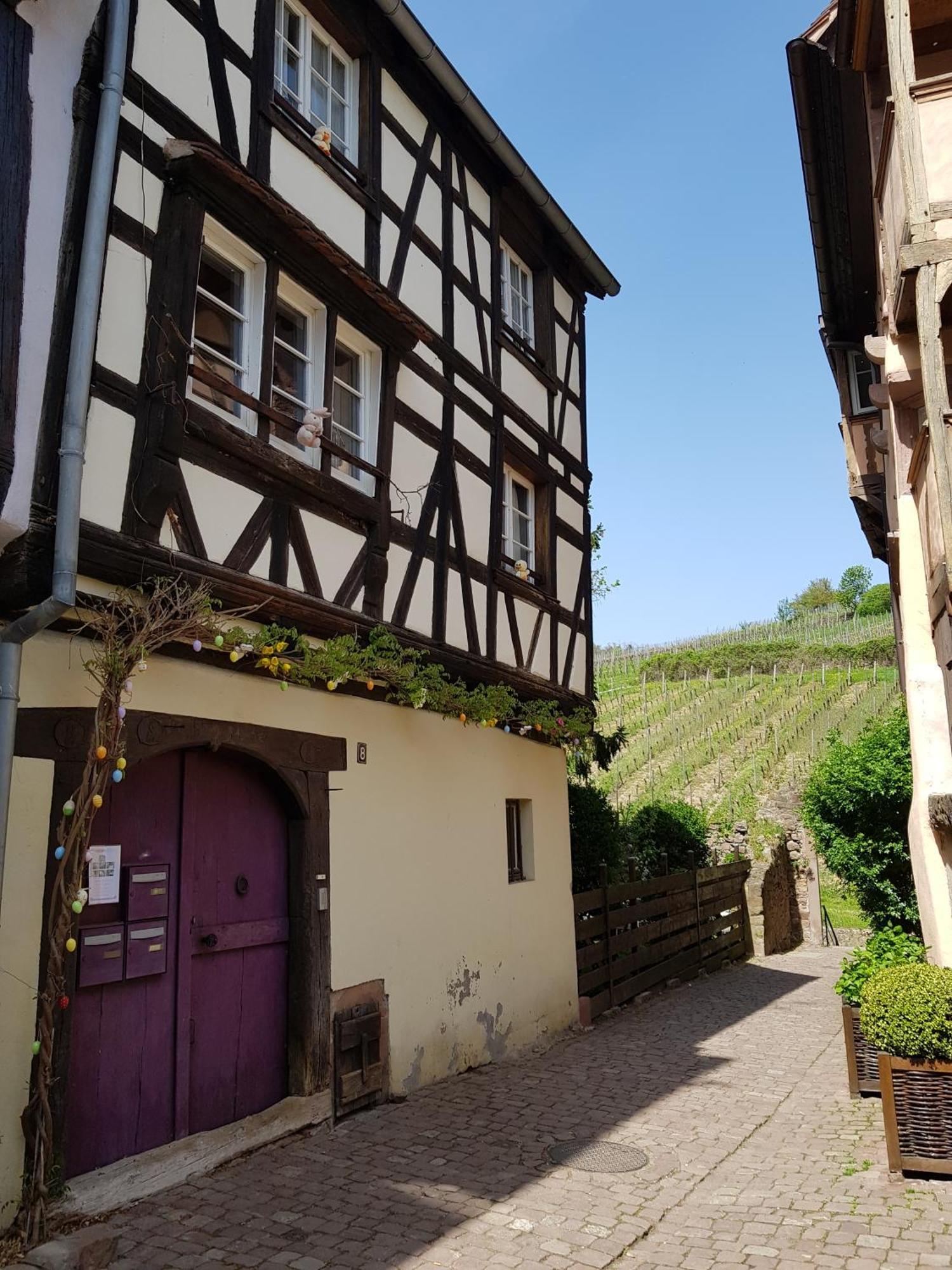 La Maison Vigneronne Рикевир Экстерьер фото